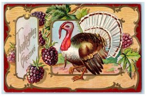 c1910's Thanksgiving Greetings Turkey And Grapes Embossed Winsch Back Postcard