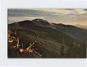 M-215635 Summer Dawn on Baldy Mountain New Mexico USA