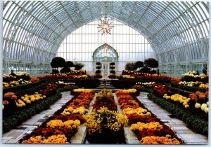 Full chrysanthemum display, Sunken Garden, Como Park Conservatory - St. Paul, MN