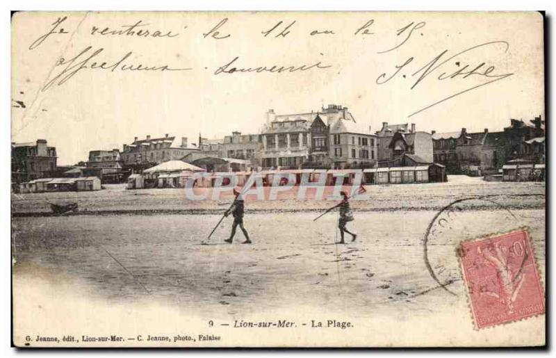 Old Postcard Sea Lion On The Beach