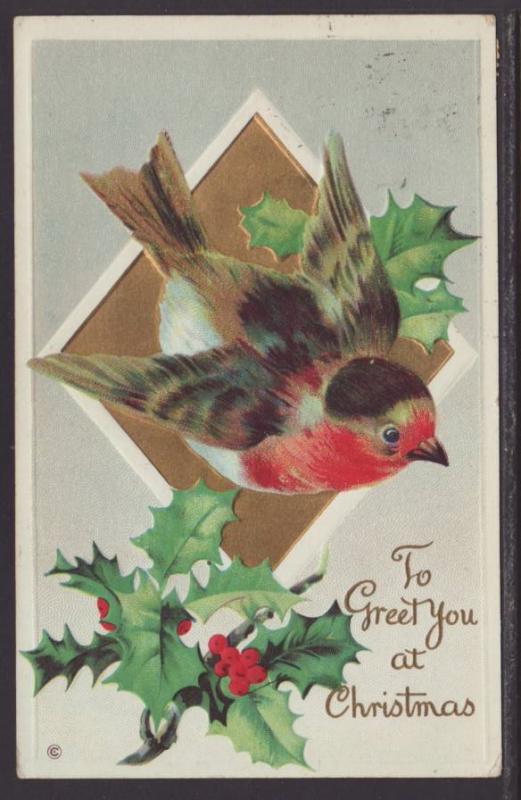 To Greet You at Christmas,Bird,Holly Postcard 