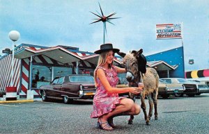 South of the Border  Pedro's Ice Cream Revolution Girl with Donkey PC AA40245