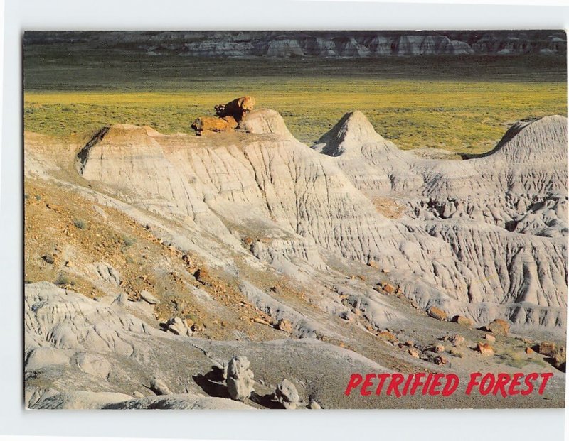 Postcard Balances Logs on Eroded Hill Petrified Forest National Park Arizona USA