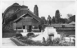 B23917 Zoo Garden Budapest Az Allatkerti Palmahaz  real photo hungary