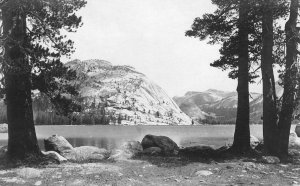 RPPC TENAYA LAKE Yosemite National Park, CA Real Photo c1910s Vintage Postcard