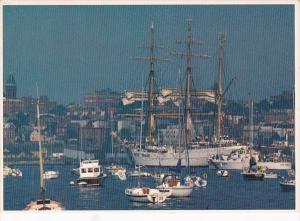 Maine Portland Summer Activity In The Harbor