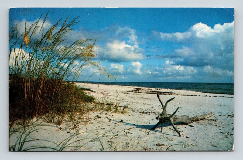 Virginia Beach VA Coast Shoreline Oceanfront Cancel 1964 PM Lincoln Postcard 