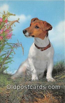 Jack Russel Terrier Salmon Watercolour Dog Unused 