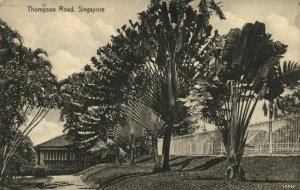 PC CPA SINGAPORE, THOMPSON ROAD, Vintage Postcard (b18751)