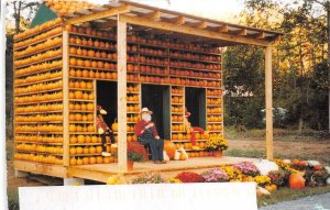 US14 USA Burt's pumpkin house Burt's farm Dawsonville Georgia