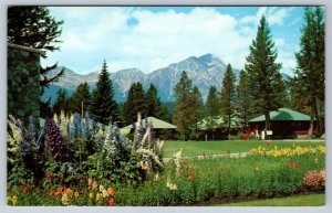 Glimpse Of The Cottages, Jasper Park Lodge, Alberta, Vintage Chrome Postcard