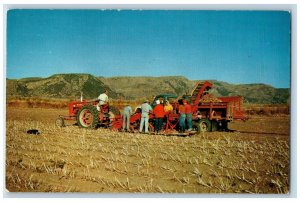 Idaho ID Postcard Modern Harvesting Digging Cleaning Loading Russet Potatoes