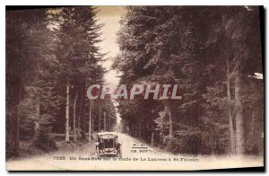 Old Postcard A Sous Bois on the road to St Felicien has Louvesc