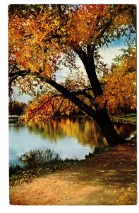 Autumn Color, Trees Beside Lake