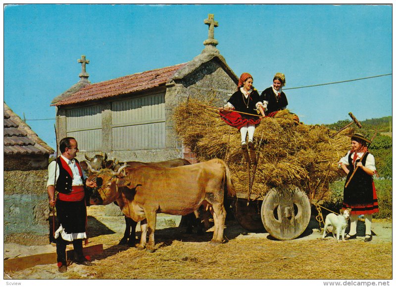 Women in Cart with Hay, Dog, Cows, Galicia, Spain, 50´s-70´s