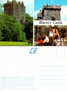 Blarney Castle, Co. Cork (9750)