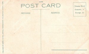 Chittenden Bridge Yellowstone National Park Wyoming Haynes St. Vintage Postcard