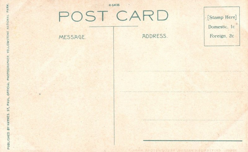 Chittenden Bridge Yellowstone National Park Wyoming Haynes St. Vintage Postcard