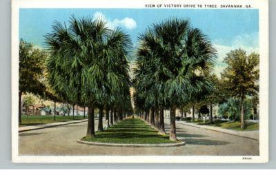 Savannah GA Victory Drive c1910 Postcard