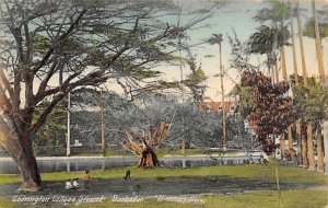 Codrington College Grounds Barbados West Indies Unused 