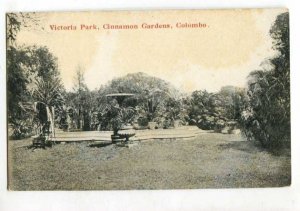401338 CEYLON COLOMBO Victoria Park Vintage postcard