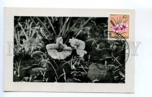 420424 RUANDA URUNDI 1958 year flower exhibition pavilion maximum card