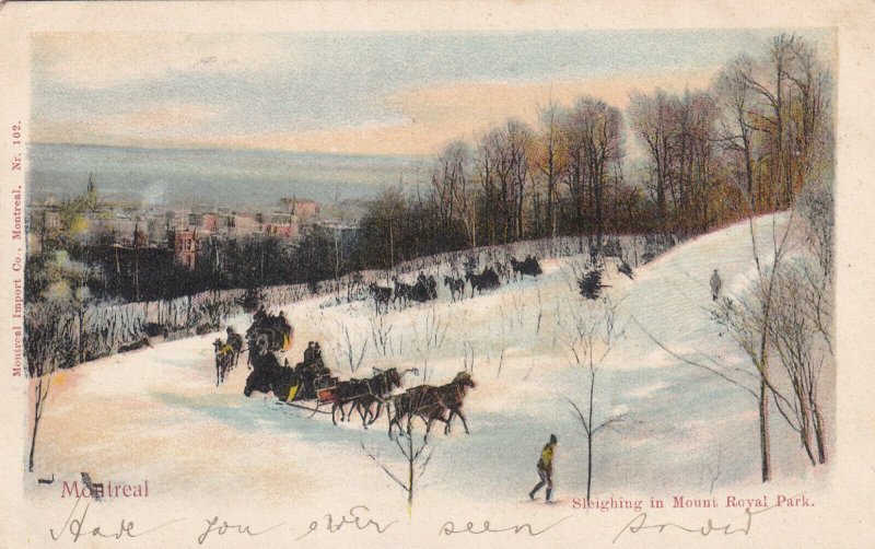 MONTREAL, Quebec, Canada, PU-1905; Sleighing In Mount Royal Park