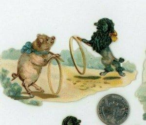 1870's-80's Anthropomorphic Dogs Pigs Dogs Hoops Lot Of 3 Victorian Die Cut X85 