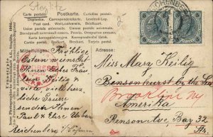 Young Girl w Bunny Rabbit and Pussy Willows STEGLITZ TINTED RPPC