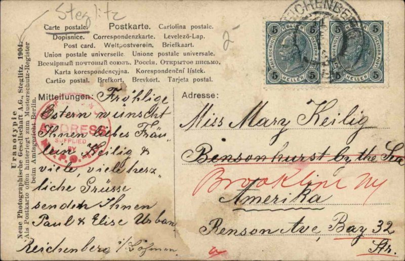 Young Girl w Bunny Rabbit and Pussy Willows STEGLITZ TINTED RPPC