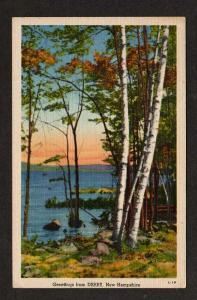 NH Greetings from DERRY NEW HAMPSHIRE Postcard Linen PC