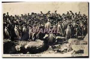 Old Postcard Territorio Santa Cruz Isla Pinguin