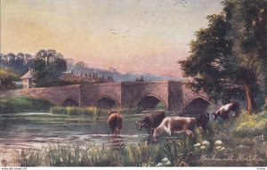 DERBYSHIRE, 1900-10s; Bakewell Bridge; TUCK 7122