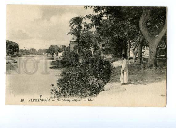 133248 EGYPT ALEXANDRIA Champs-Elysees Vintage postcard