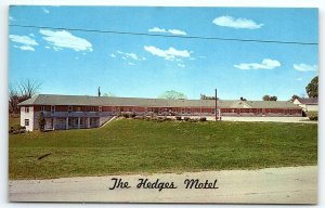 1960s GREENCASTLE INDIANA THE HEDGES MOTEL AND COFFEE SHOP POSTCARD P1109