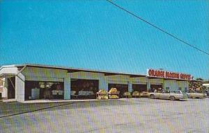 Florida Clearwater Orange Blossom Groves Fruit Stand