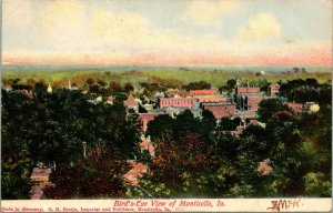 Vtg Postkarte 1907 Monticello Iowa Ia Vögel Eye Vögel -eye Blick