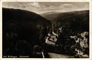 CPA AK Bad Wildungen Helenental GERMANY (899591)