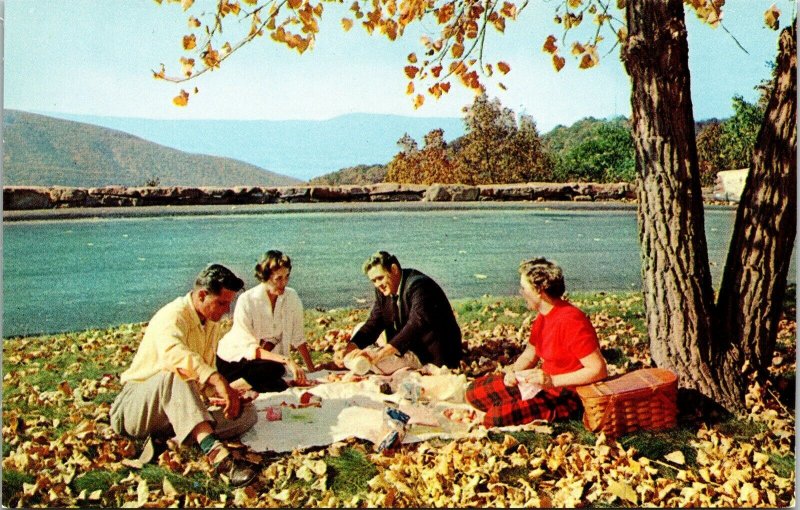 Picnic Skyline Drive Shenandoah National Park VTG Postcard UNP Unused Vintage 