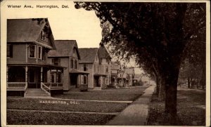 Harrington Delaware DE Wiener Ave c1910 Postcard