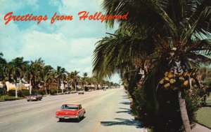 Vintage Postcard Greetings from Hollywood Typical Street Scene Tropical Trees FL