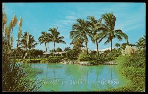 Scenic View of Kings Inn Hotel - Freeport