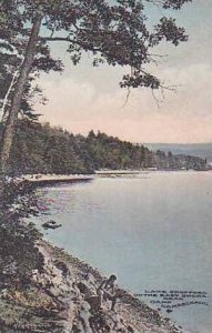 New Hampshire Lake Spofford On The East Shore Camp Namaschaug Albertype