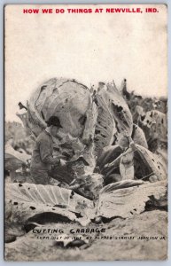 K19/ Newville Indiana Postcard c1910 Exaggeration Cabbage Farm 1