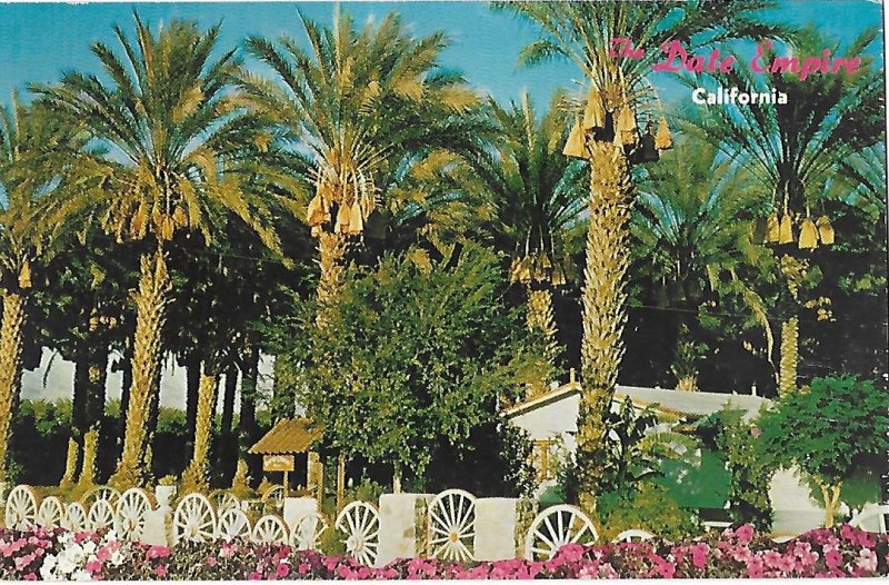 Coachella Valley Date Grove Indio California