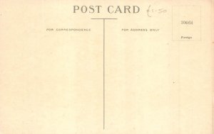 B425 Easter Flower Pattern Egg Cart drawn by Chick Pussy Willow postcard