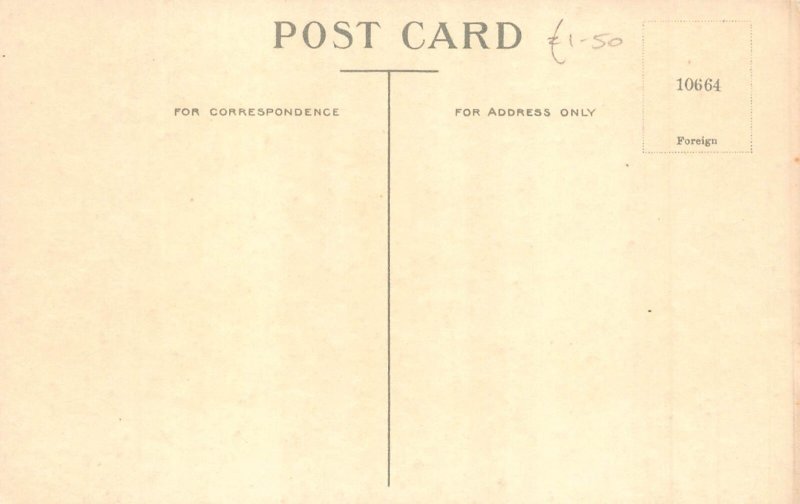 B425 Easter Flower Pattern Egg Cart drawn by Chick Pussy Willow postcard