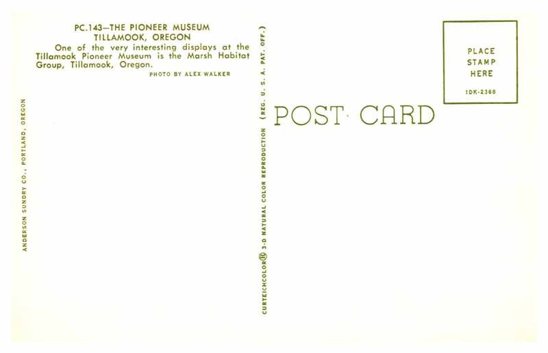 Postcard MUSEUM SCENE Tillamook Oregon OR AT3535