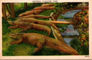 Arkansas Hot Springs Scene At The Alligator Farm 1954