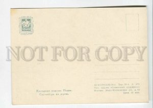 199913 INDIA elephants old postcard